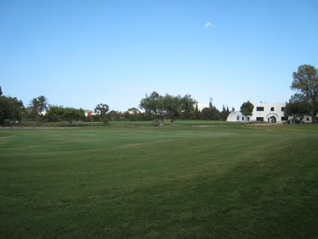 IMG_2747.jpg